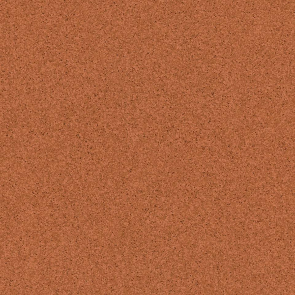 TH_Primo_Plus_305_01