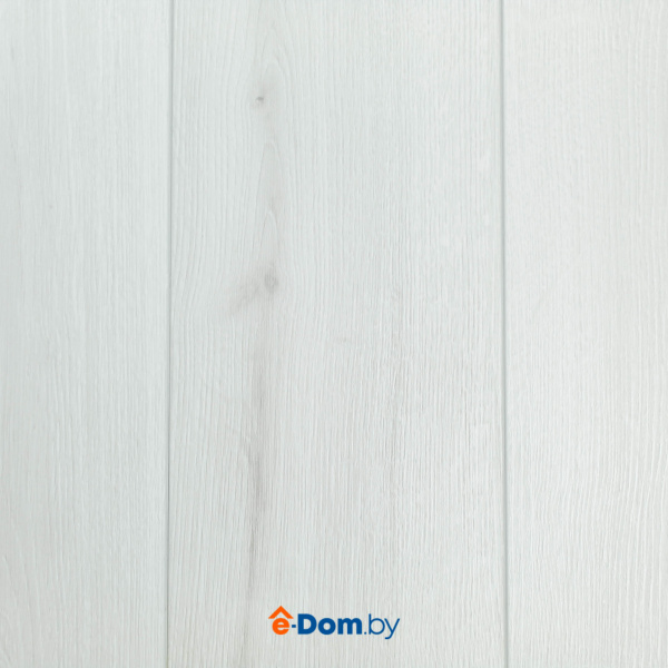 Dante_Snegnii_1110_1